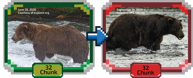 Fat Bear Week 2026 Kicks Off in Alaska With Expanded 16-Bear Bracket