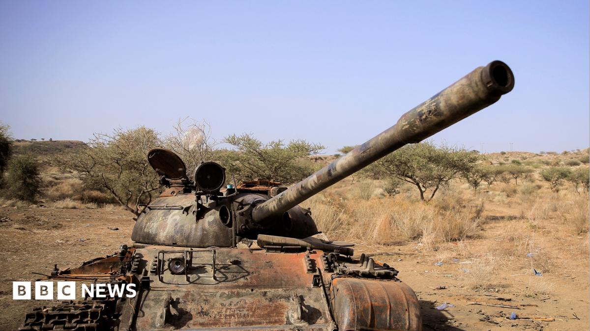 Seven Ethiopian Armed Factions Unite Under New 'Alliance for Survival' Coalition
