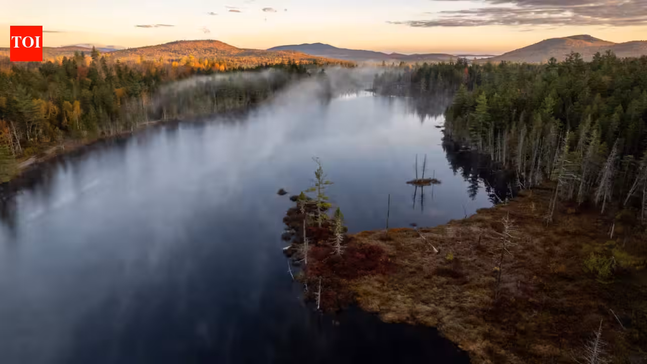 After a Century, Maine's Penobscot Nation Regains Control of 11,297 Acres in Landmark Land Return