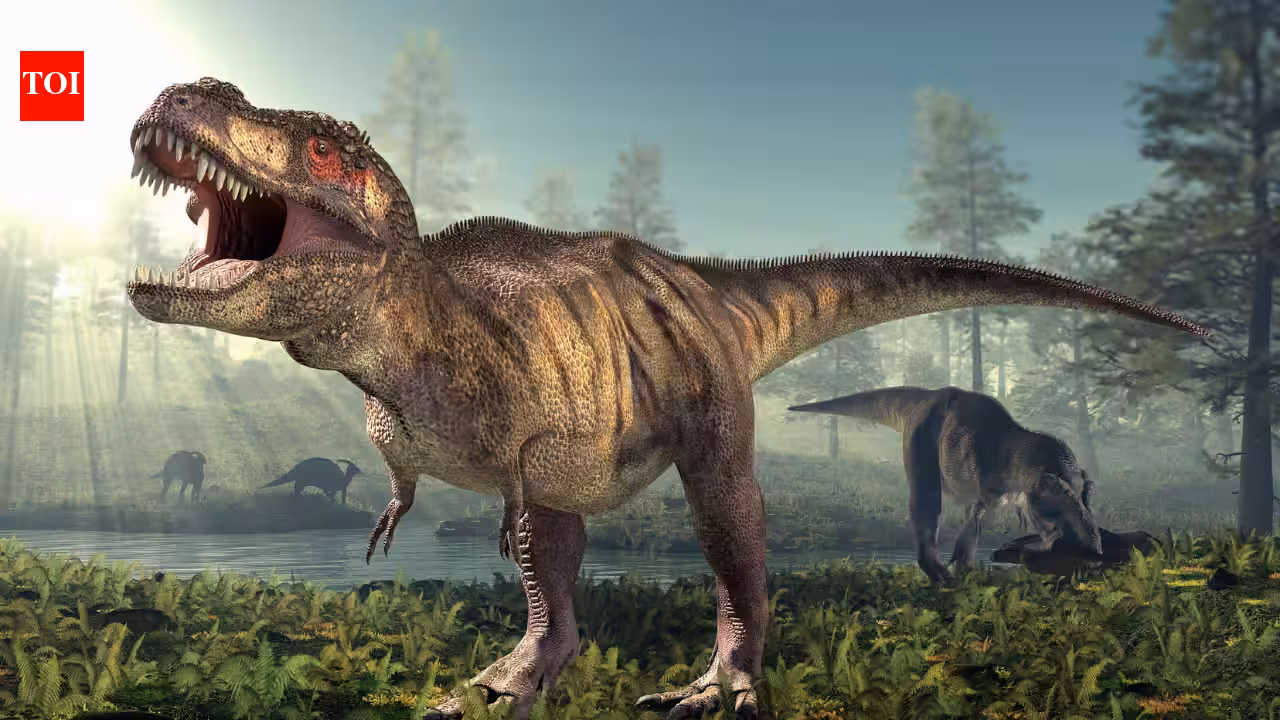 Fossil Tooth Chemistry Reveals T. rex Had Human-Like Body Temperature