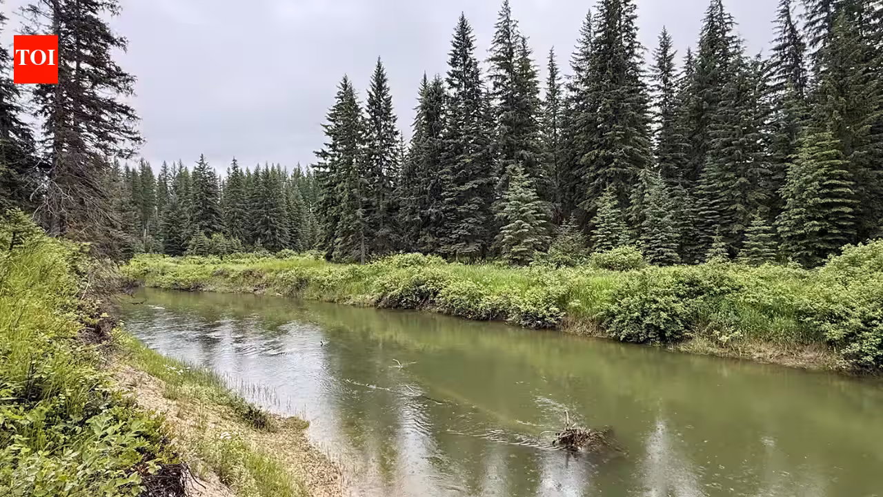 Montana Family Permanently Protects 57 Acres Along Stillwater River After Wildlife Documentation