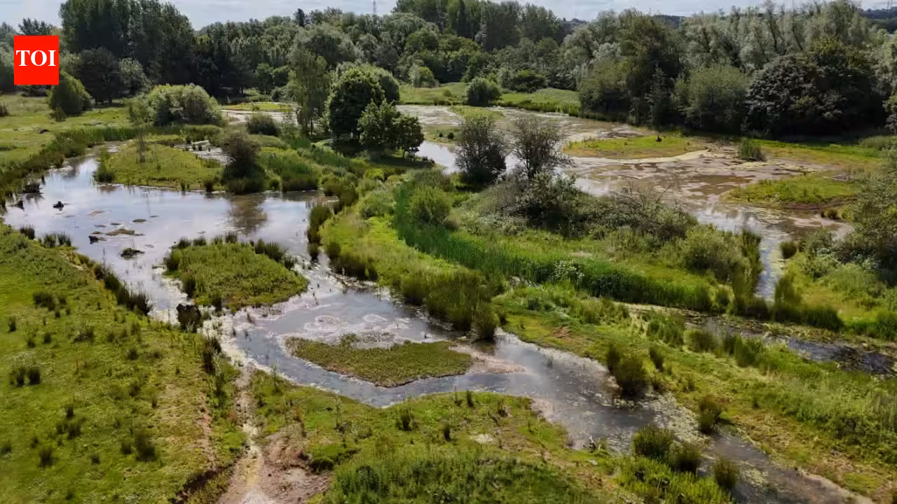 Former England Power Station Golf Course Transforms Into Wetland Park