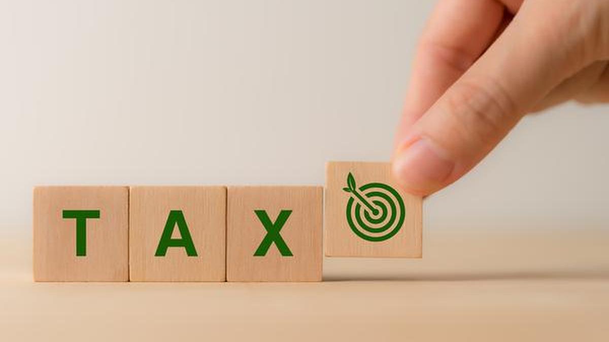 BRICS Ministers Denounce EU Carbon Border Tax and Urge Surge in Global Adaptation Funding